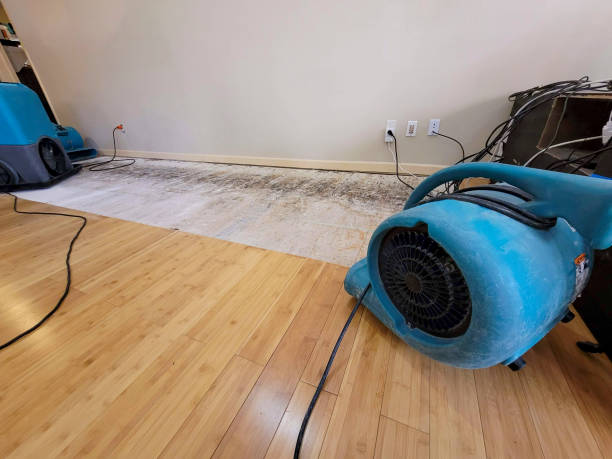 Professional Water Damage Repair technician working in Laurel, VA
